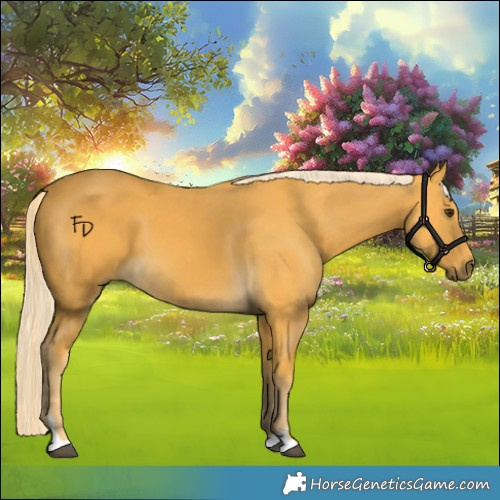 Horse Color:Palomino 