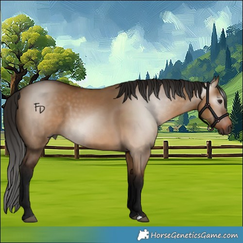 Horse Color:Gray Bay Dun 