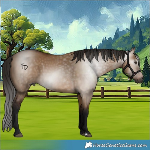 Horse Color:Gray Bay Dun 