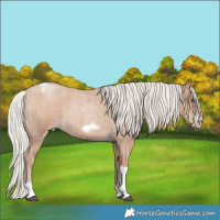 Horse Color:Silver Blue Roan Pearl Tobiano Frame 