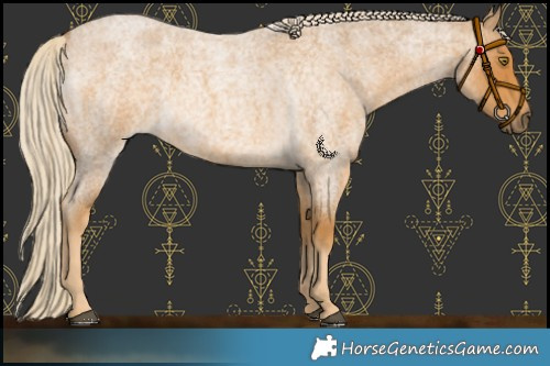 Horse Color:Palomino Roan 