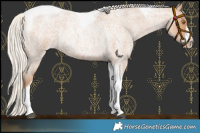 Horse Color:Silver Blue Roan Pearl Tobiano Frame