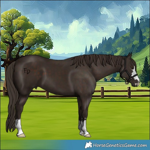 Horse Color:Liver Chestnut 