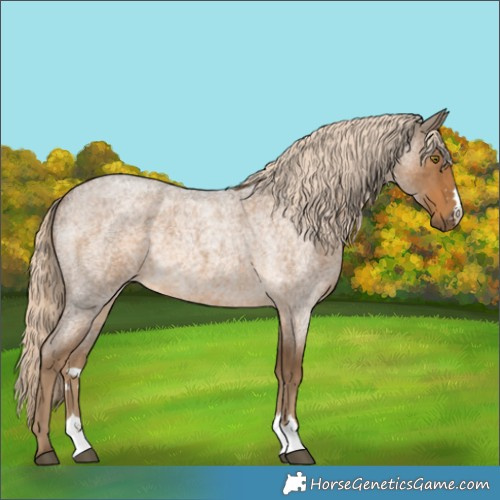 Horse Color:Chocolate Palomino Roan 