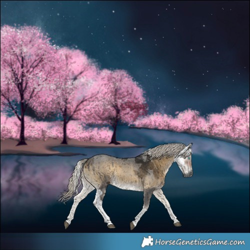 Horse Color:Gray Silver Smoky Blue Onyx Merle Tobiano 