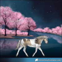 Horse Color:Gray Silver Smoky Blue Onyx Merle Tobiano 