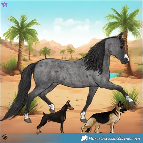 Horse Color:Smoky Blue Roan