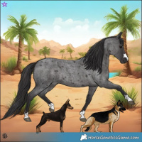 Horse Color:Smoky Blue Roan 