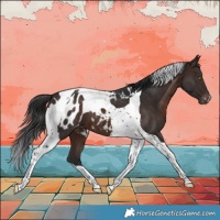 Horse Color:Brown Tobiano Blanket 