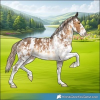 Horse Color:Chocolate Palomino Sabino Rabicano