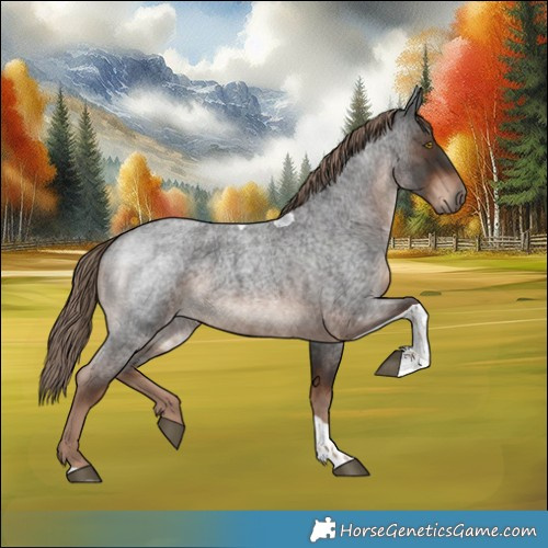 Horse Color:Liver Red Roan Tobiano 
