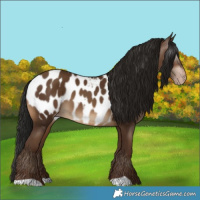 Horse Color:Gray Sable Champagne Near Leopard