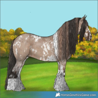 Horse Color:White Spotted Liver Red Dun Tobiano and White Spotted Liver Red Dun