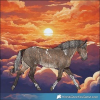 Horse Color:Smoky Grullo Tobiano  and White Spotted Silver Brown Dun Tobiano 