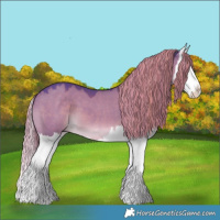 Horse Color:Watercolor Liver Red Dun Splash 
