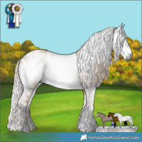 Horse Color:Gray Chocolate Palomino Dun Varnish Brindle  and Gray Chocolate Palomino Dun Splash Near Leopard 