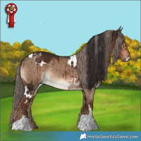 Horse Color:White Spotted Liver Chestnut and Liver Red Dun Rabicano Brindle