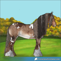 Horse Color:White Spotted Liver Chestnut  and Liver Red Dun Rabicano Brindle 