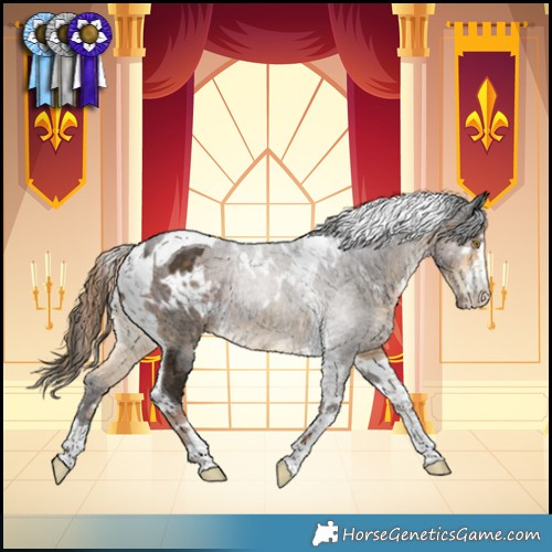 Horse Color:White Spotted Liver Chestnut  and Buckskin Tobiano 