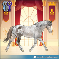 Horse Color:White Spotted Liver Chestnut  and Buckskin Tobiano 