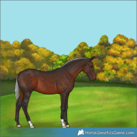 Horse Color:Silver Brown 