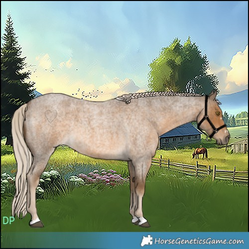 Horse Color:Chocolate Palomino Roan