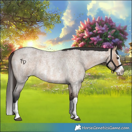 Horse Color:Bay Roan Dun Sabino Splash 