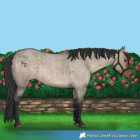 Horse Color:Brown Roan Dun Rabicano 
