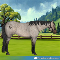 Horse Color:Brown Roan Dun Rabicano 