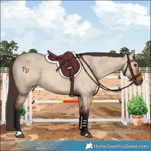 Horse Color:Bay Roan Dun Rabicano 