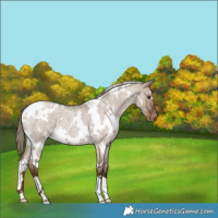 Horse Color:White Spotted Liver Red Dun Roan Varnish 