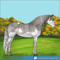 Horse Color:Silver Smoky Blue Roan Splash Tobiano 
