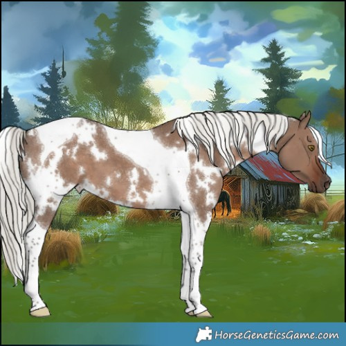 Horse Color:White Spotted Liver Red Dun Mushroom Tobiano 