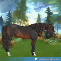 Horse Color:Bay Rabicano 