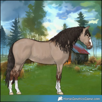 Horse Color:Liver Red Dun 