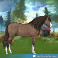 Horse Color:Liver Red Dun 