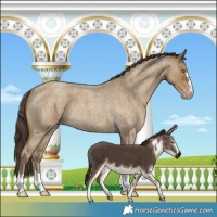 Horse Color:Classic Cream Champagne Roan 