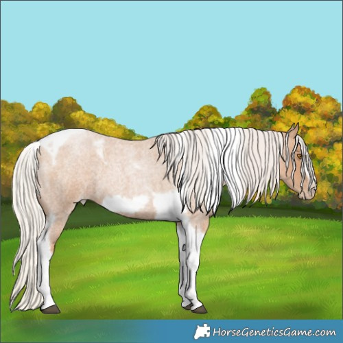 Horse Color:Silver Blue Roan Pearl Tobiano Frame 