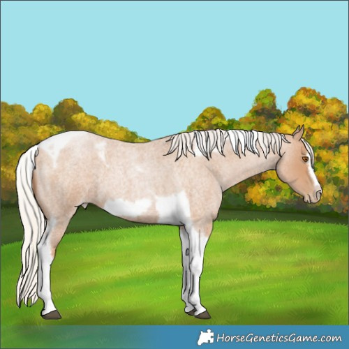 Horse Color:Silver Blue Roan Pearl Tobiano Frame 