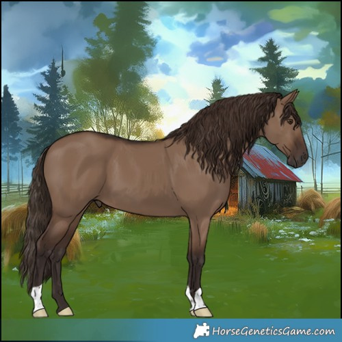 Horse Color:Liver Red Dun 