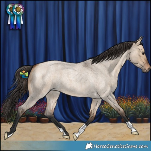 Horse Color:Bay Roan Dun 