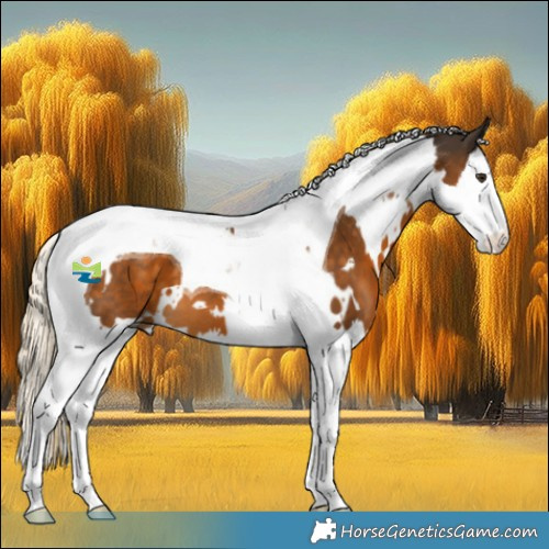 Horse Color:White Spotted Chocolate Palomino Splash Tobiano 