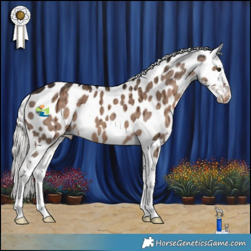 Horse Color:Liver Red Dun Mushroom Appaloosa Brindle 