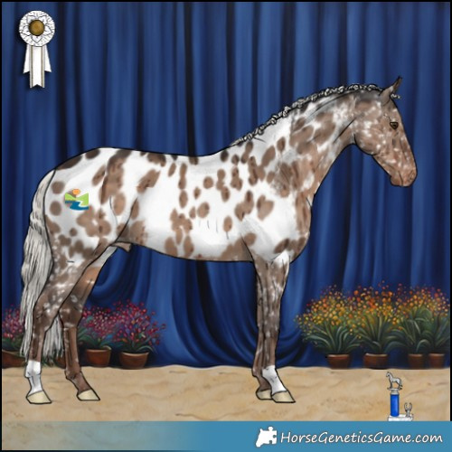 Horse Color:Liver Red Dun Mushroom Appaloosa Brindle 