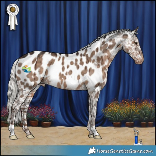 Horse Color:Liver Red Dun Mushroom Appaloosa Brindle 