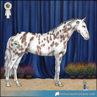 Horse Color:Liver Red Dun Mushroom Appaloosa Brindle 