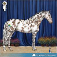 Horse Color:Liver Red Dun Mushroom Appaloosa Brindle