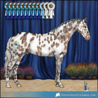 Horse Color:Liver Red Dun Mushroom Near Leopard Brindle 
