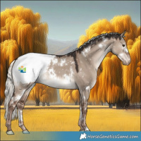Horse Color:White Spotted Liver Red Dun Mushroom Appaloosa 