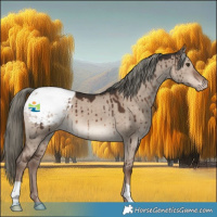 Horse Color:Liver Red Dun Mushroom Appaloosa Brindle